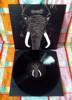 LP Palm Unit: Don't Buy Ivory Anymore - The Music Of Henri Texier