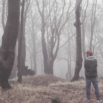 CD DJ Wich: Panorama