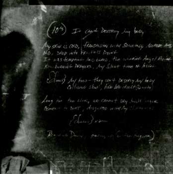 CD Pantera: The Great Southern Trendkill