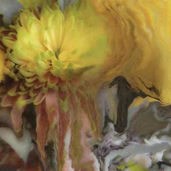 CD Parker Millsap: Wilderness Within You