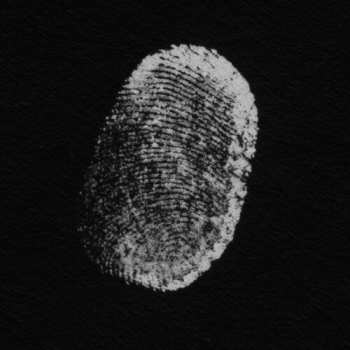 Album Patricia Brennan: More Touch