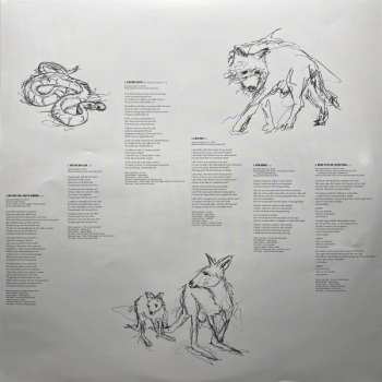 LP Paul Kelly: Nature