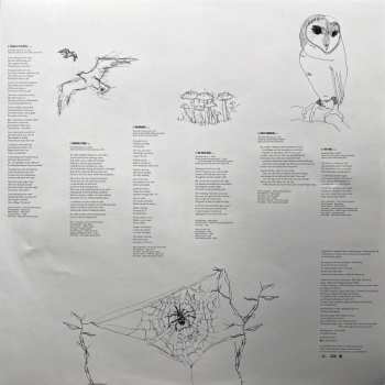 LP Paul Kelly: Nature