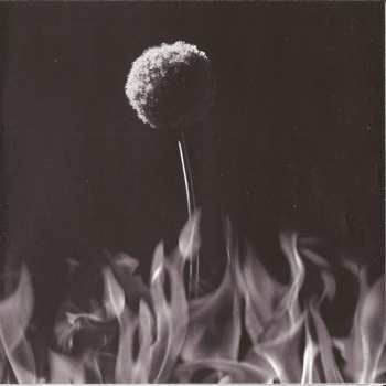 CD Paula Cole: This Fire