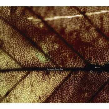 CD Pay Money To My Pain: gene DIGI