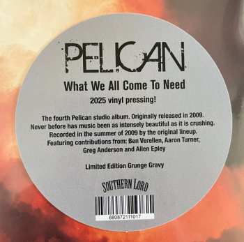 2LP Pelican: What We All Come to Need