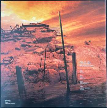 2LP Pelican: What We All Come to Need