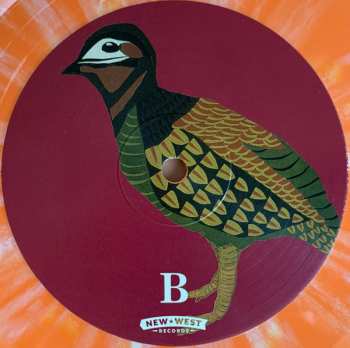 2LP Pernice Brothers: Overcome By Happiness DLX | LTD | CLR