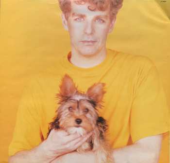 LP Pet Shop Boys: Introspective