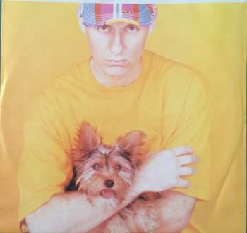 LP Pet Shop Boys: Introspective