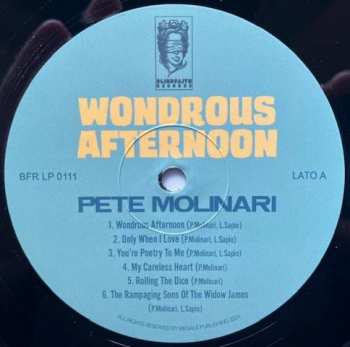 LP Pete Molinari: Wondrous Afternoon