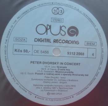 2LP Peter Dvorský: In Concert (2xLP + PLAKÁT)
