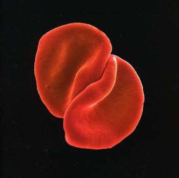 Album Peter Gabriel: Scratch My Back