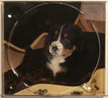 CD Peter Kroll-Ploeger: Live On A Dogs Day