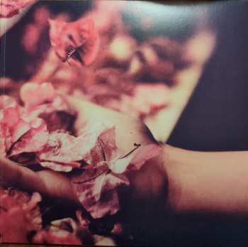 2LP Petre Inspirescu: Vîntul Prin Salcii