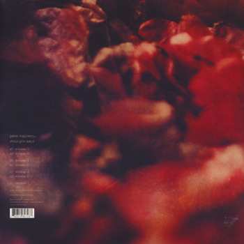 2LP Petre Inspirescu: Vîntul Prin Salcii