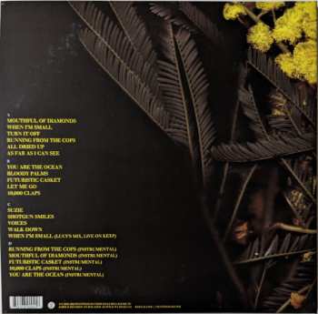 2LP Phantogram: Eyelid Movies CLR | DLX | LTD