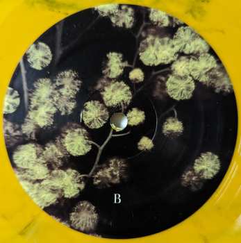 2LP Phantogram: Eyelid Movies CLR | DLX | LTD