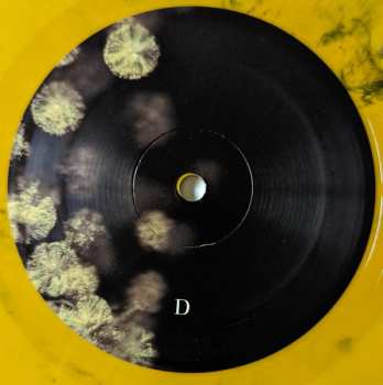 2LP Phantogram: Eyelid Movies CLR | DLX | LTD