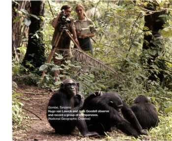 CD Philip Glass: Jane (Original Motion Picture Soundtrack)