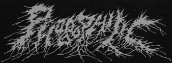 LP Phobophilic: Enveloping Absurdity CLR | LTD