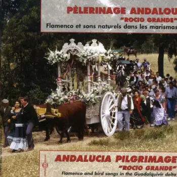 Pélerinage Andalou "Rocio Grande"