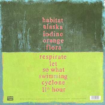 LP Pinegrove: 11:11 DLX | LTD | CLR