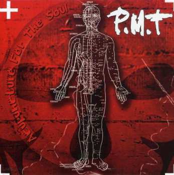 CD P.M.T.: Acupuncture For The Soul
