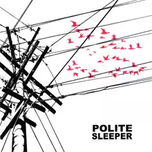 Polite Sleeper