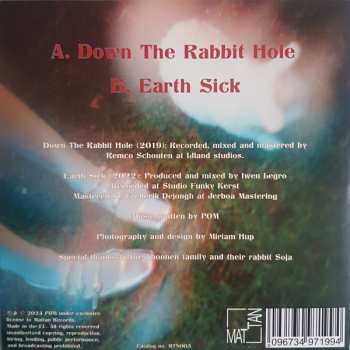 SP POM: Down The Rabbit Hole