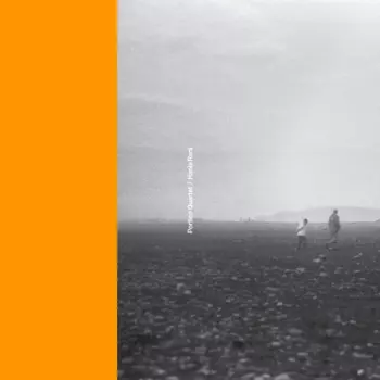 Portico Quartet / Hania Rani