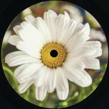 LP Poster Children: Daisychain Reaction