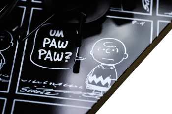Tontechnik Pro-Ject ART - Peanuts Turntable OM10