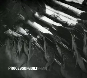 Process Of Guilt: Fæmin