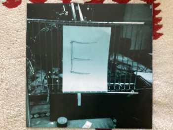 LP Prolapse: I Wonder When They’re Going To Destroy Your Face