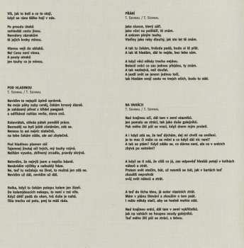 CD Prowizorium: Prowizorium