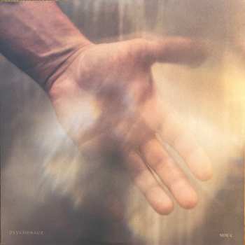 2LP Psychonaut: Violate Consensus Reality CLR | LTD