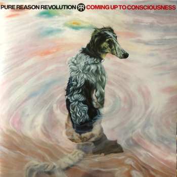 LP Pure Reason Revolution: Coming Up To Consciousness CLR | LTD