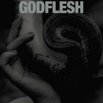 CD Godflesh: Purge