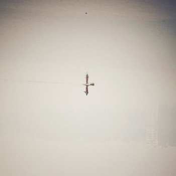 Album Qasim Naqvi: Endling