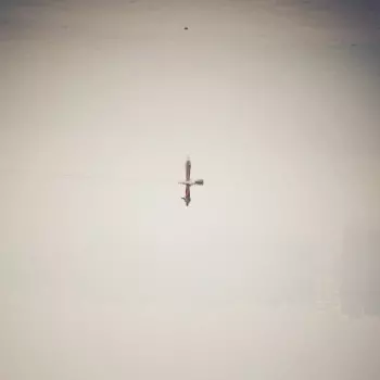 Qasim Naqvi: Endling