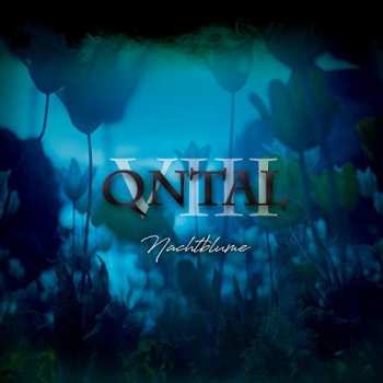 CD Qntal: VIII - Nachtblume