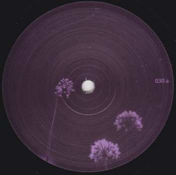 2LP Quantec: Unusual Signals