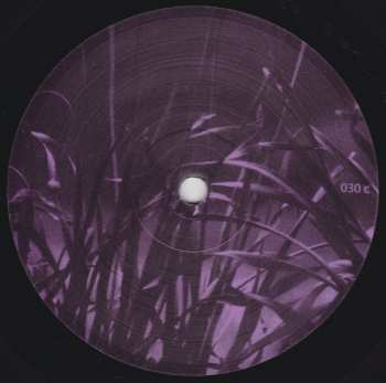 2LP Quantec: Unusual Signals