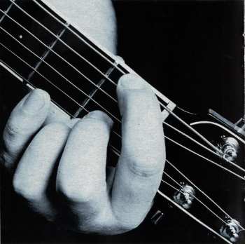 CD Racoon: Another Day