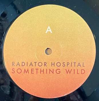 LP Radiator Hospital: Something Wild