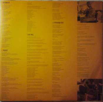 2LP Rainald Grebe: Albanien