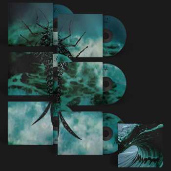 6CD/Box Set Rainforest Spiritual Enslavement: Water Witches