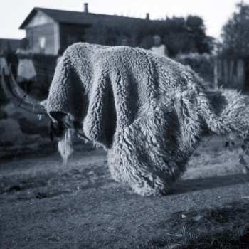 LP Random Gods: Pneuma