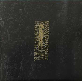 2LP/Box Set Rapoon: Raising Earthly Spirits